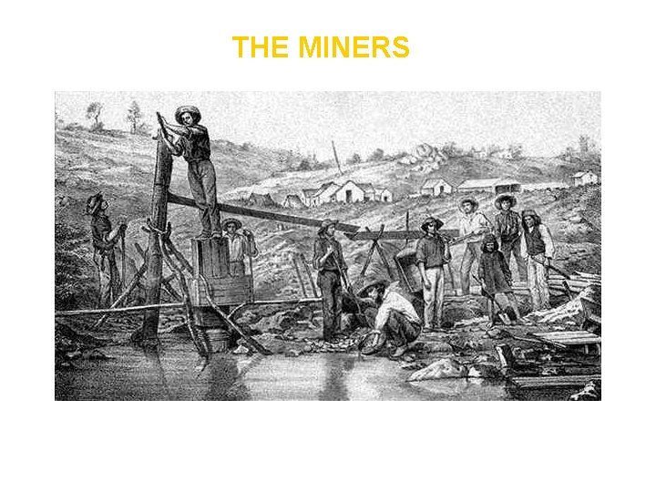 THE MINERS 