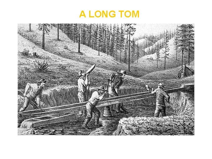 A LONG TOM 