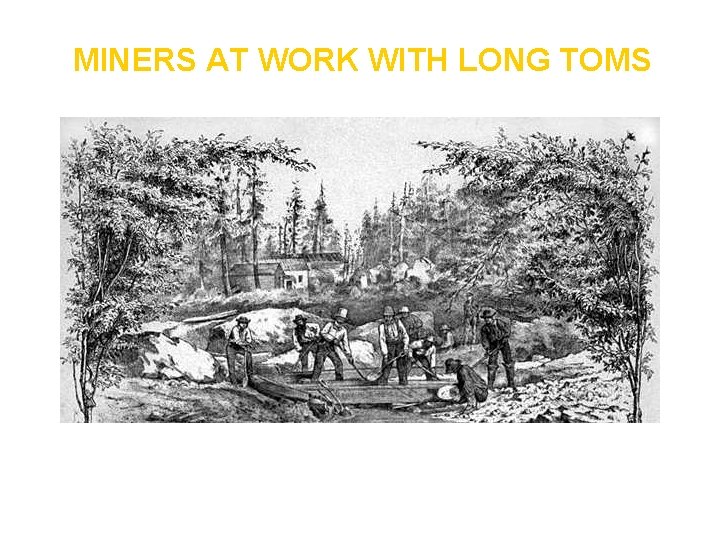 MINERS AT WORK WITH LONG TOMS 