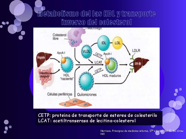 Metabolismo del las HDL y transporte inverso del colesterol CETP: proteina de transporte de