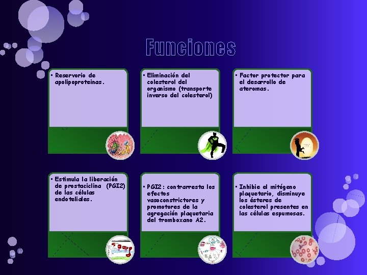 Funciones • Reservorio de apolipoproteinas. • Estimula la liberación de prostaciclina (PGI 2) de