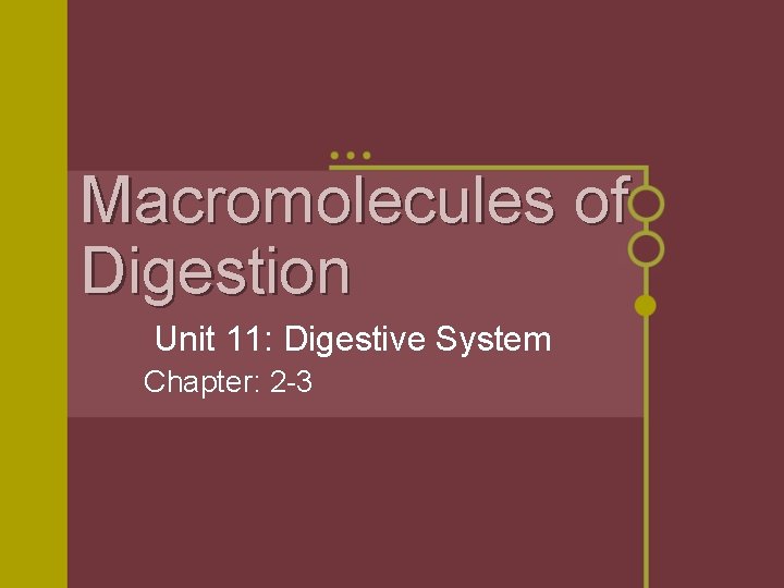 Macromolecules of Digestion Unit 11: Digestive System Chapter: 2 -3 
