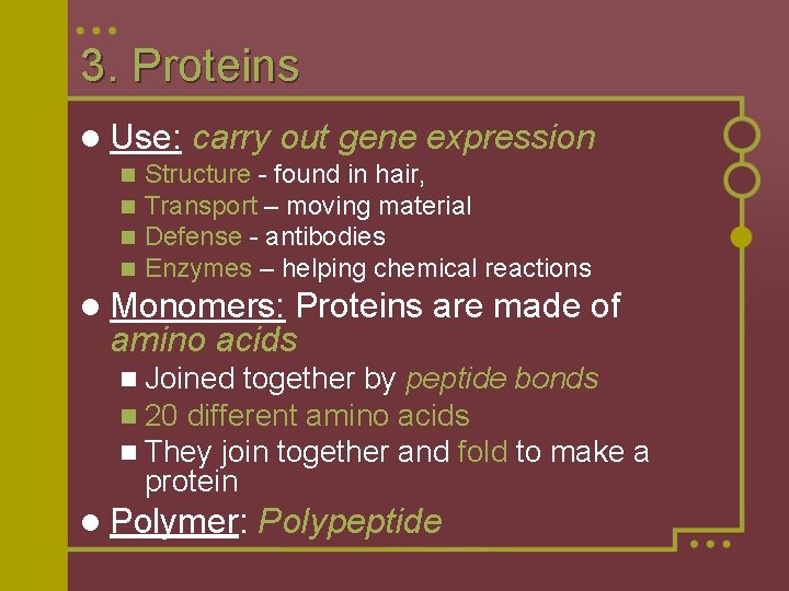 3. Proteins l Use: n n carry out gene expression Structure - found in