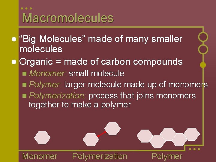 Macromolecules l “Big Molecules” made of many smaller molecules l Organic = made of