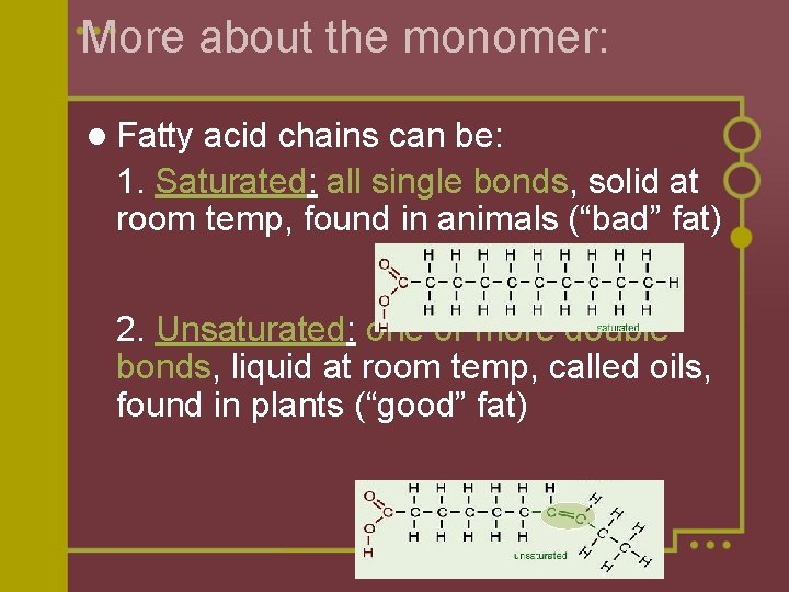 More about the monomer: l Fatty acid chains can be: 1. Saturated: all single