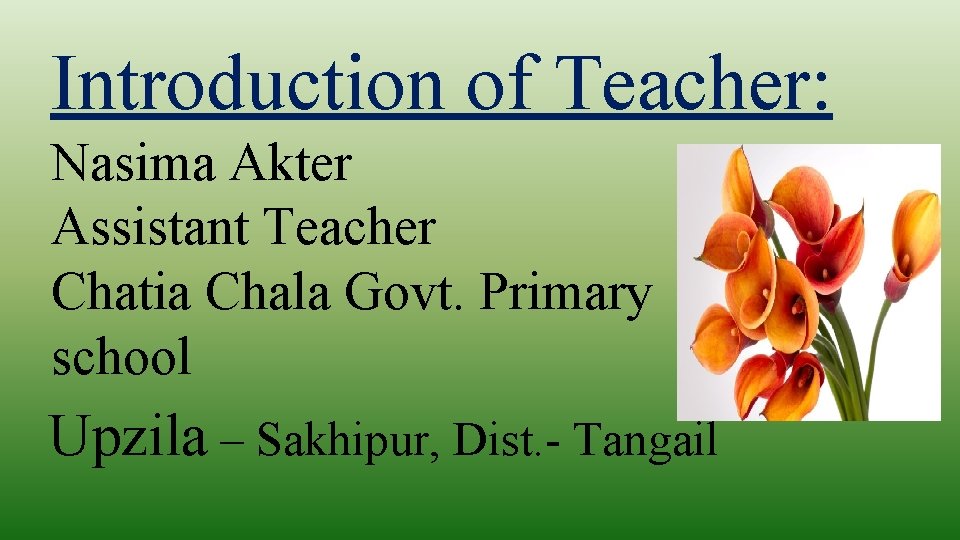 Introduction of Teacher: Nasima Akter Assistant Teacher Chatia Chala Govt. Primary school Upzila –