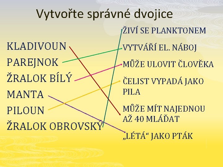 Vytvořte správné dvojice ŽIVÍ SE PLANKTONEM KLADIVOUN PAREJNOK ŽRALOK BÍLÝ MANTA PILOUN ŽRALOK OBROVSKÝ