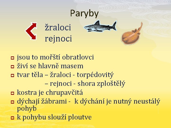 Paryby žraloci rejnoci p p p jsou to mořští obratlovci živí se hlavně masem