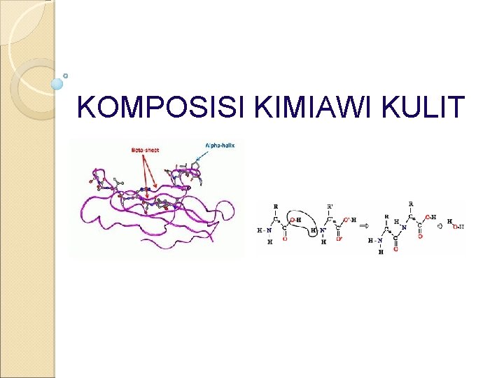 KOMPOSISI KIMIAWI KULIT 