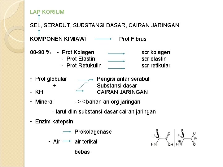 LAP KORIUM SEL, SERABUT, SUBSTANSI DASAR, CAIRAN JARINGAN KOMPONEN KIMIAWI 80 -90 % Prot