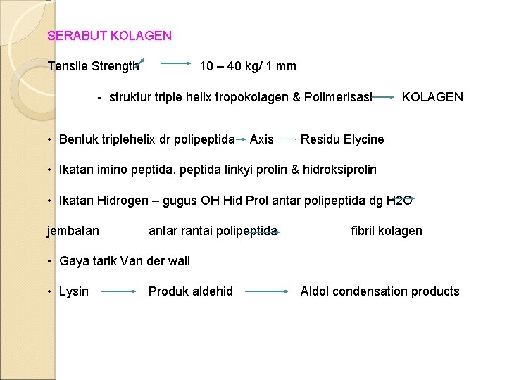 SERABUT KOLAGEN Tensile Strength 10 – 40 kg/ 1 mm - struktur triple helix