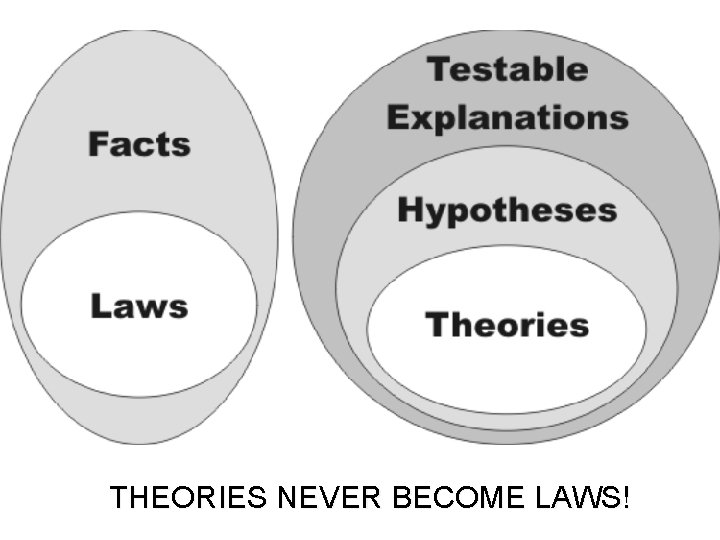 THEORIES NEVER BECOME LAWS! 
