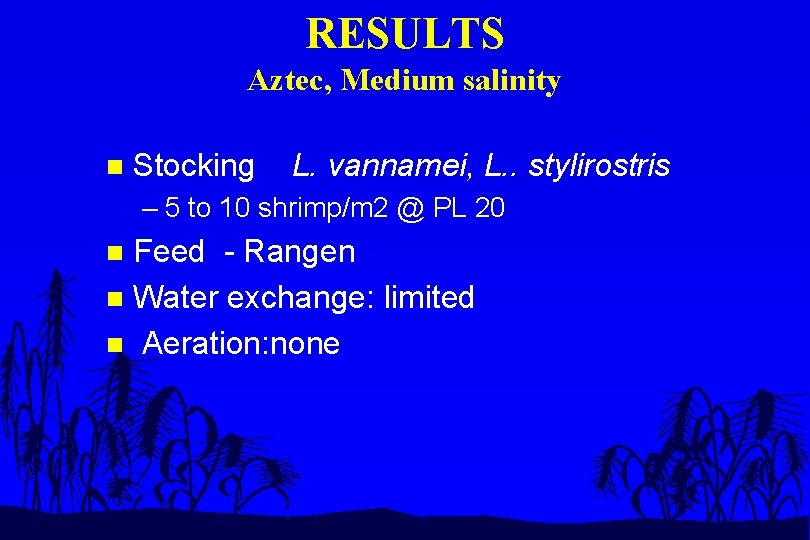 RESULTS Aztec, Medium salinity n Stocking L. vannamei, L. . stylirostris – 5 to