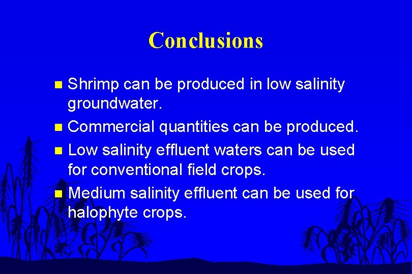 Conclusions Shrimp can be produced in low salinity groundwater. n Commercial quantities can be