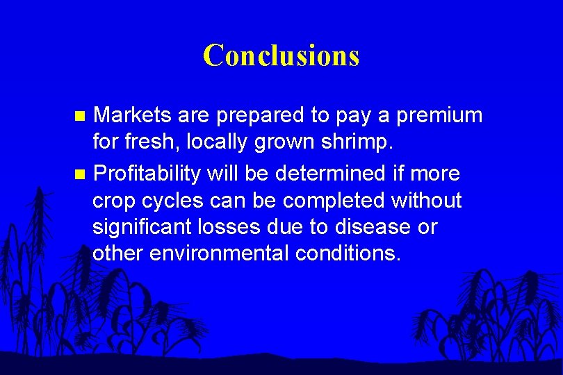 Conclusions Markets are prepared to pay a premium for fresh, locally grown shrimp. n