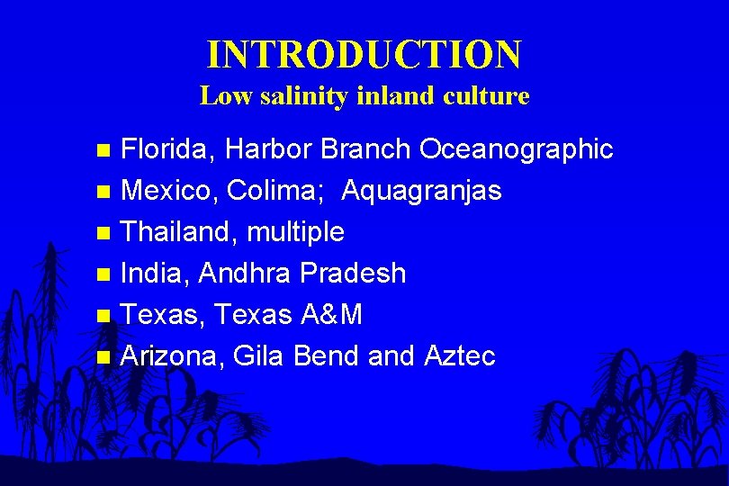 INTRODUCTION Low salinity inland culture Florida, Harbor Branch Oceanographic n Mexico, Colima; Aquagranjas n