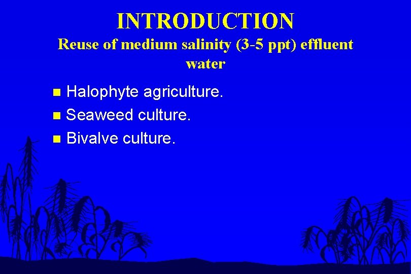 INTRODUCTION Reuse of medium salinity (3 -5 ppt) effluent water Halophyte agriculture. n Seaweed