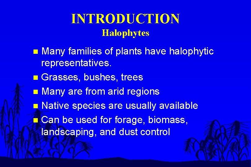 INTRODUCTION Halophytes Many families of plants have halophytic representatives. n Grasses, bushes, trees n