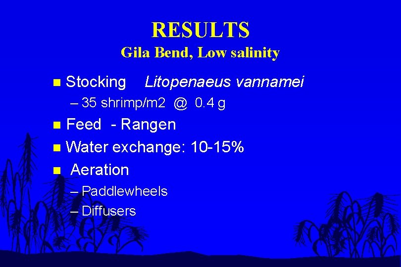 RESULTS Gila Bend, Low salinity n Stocking Litopenaeus vannamei – 35 shrimp/m 2 @