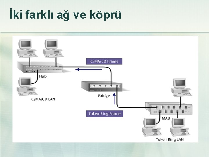 İki farklı ağ ve köprü 