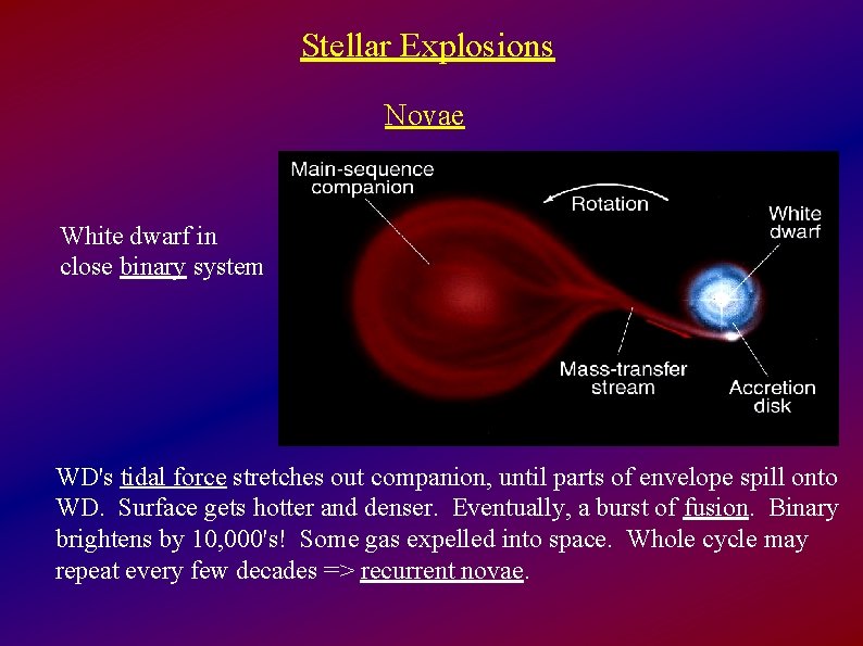 Stellar Explosions Novae White dwarf in close binary system WD's tidal force stretches out