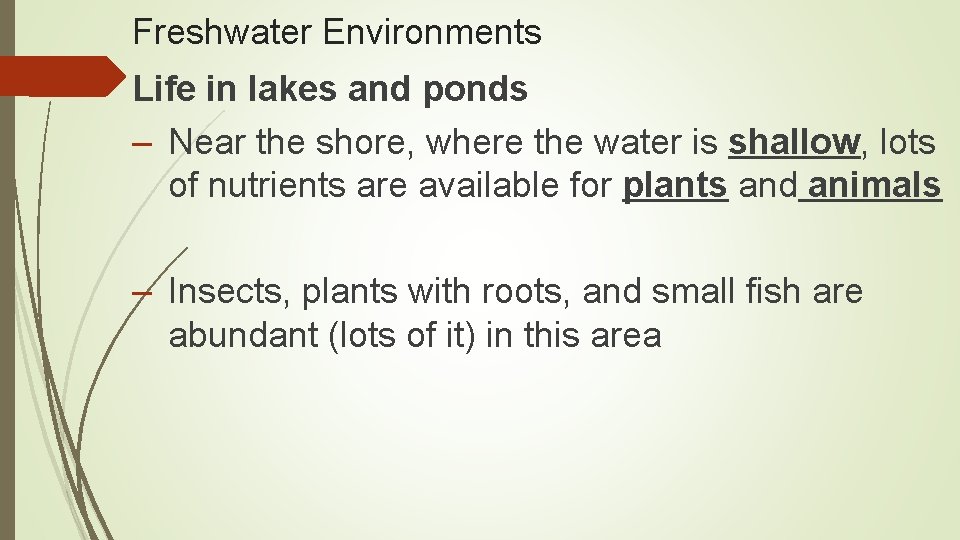 Freshwater Environments Life in lakes and ponds – Near the shore, where the water