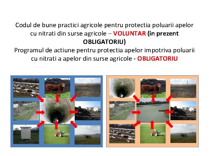 Codul de bune practici agricole pentru protectia poluarii apelor cu nitrati din surse agricole