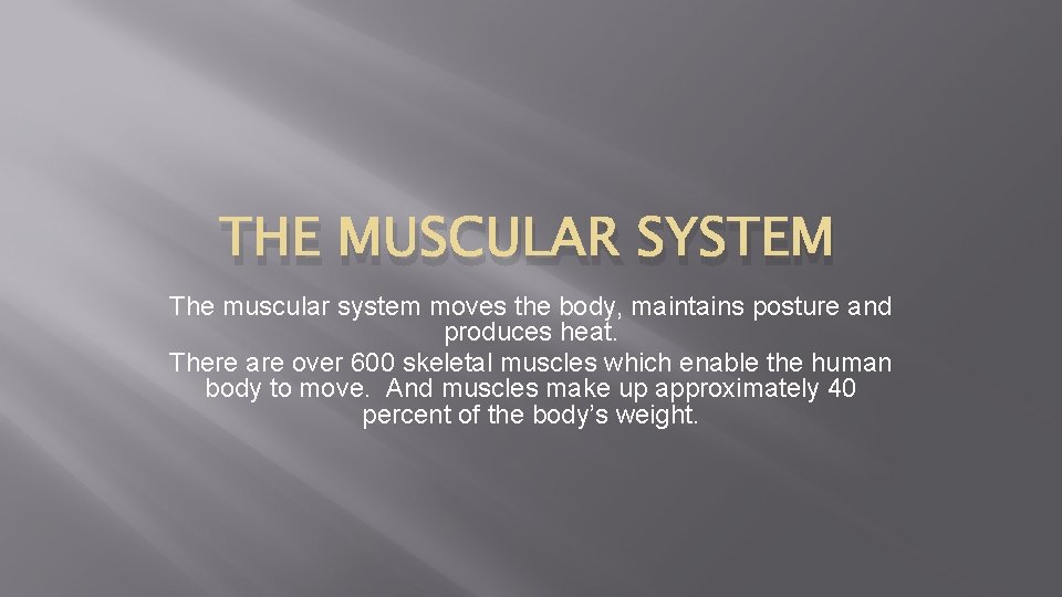 THE MUSCULAR SYSTEM The muscular system moves the body, maintains posture and produces heat.