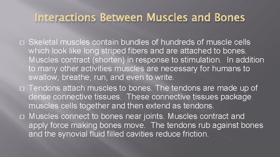 Interactions Between Muscles and Bones � � � Skeletal muscles contain bundles of hundreds