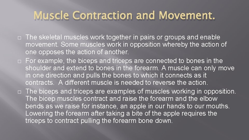 Muscle Contraction and Movement. � � � The skeletal muscles work together in pairs
