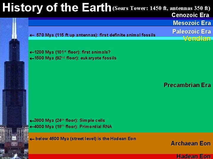 350 ft) History of the Earth (Sears Tower: 1450 ft, antennas Cenozoic Era 570