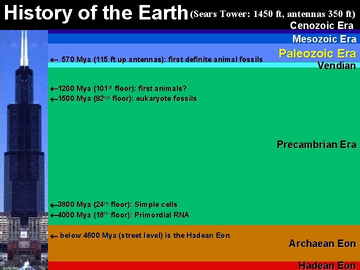350 ft) History of the Earth (Sears Tower: 1450 ft, antennas Cenozoic Era Mesozoic