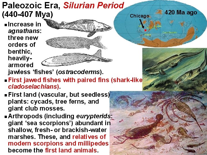 Paleozoic Era, Silurian Period (440 -407 Mya) Chicago Increase in agnathans: three new orders