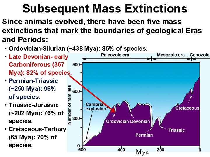 Subsequent Mass Extinctions Since animals evolved, there have been five mass extinctions that mark
