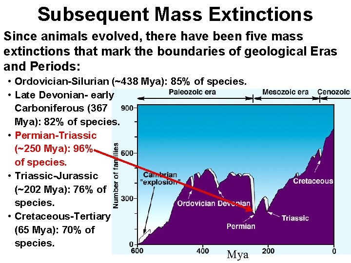 Subsequent Mass Extinctions Since animals evolved, there have been five mass extinctions that mark