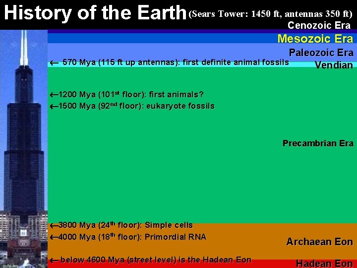 350 ft) History of the Earth (Sears Tower: 1450 ft, antennas Cenozoic Era Mesozoic