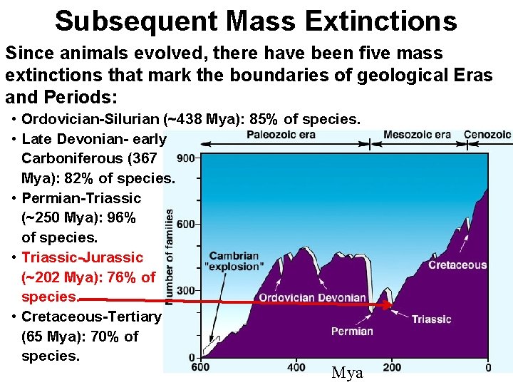 Subsequent Mass Extinctions Since animals evolved, there have been five mass extinctions that mark