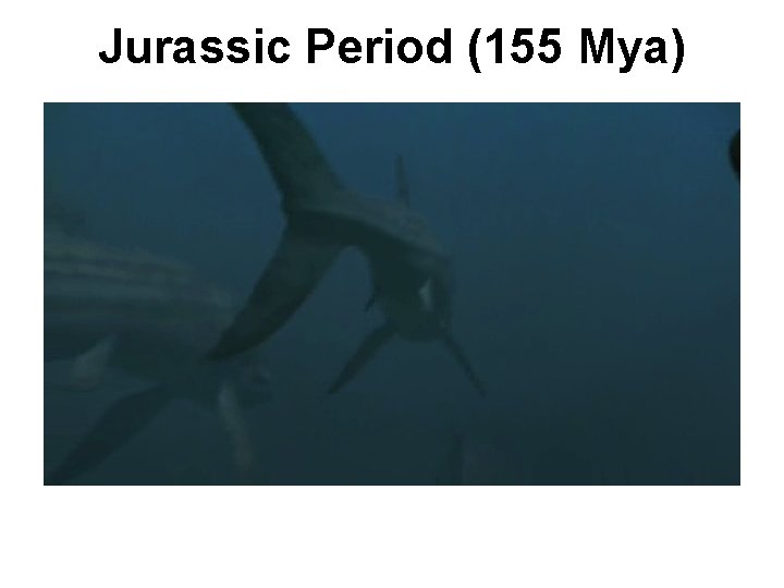 Jurassic Period (155 Mya) 