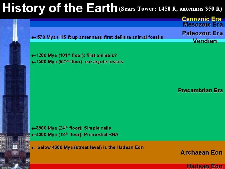 History of the Earth (Sears Tower: 1450 ft, antennas 350 ft) 570 Mya (115