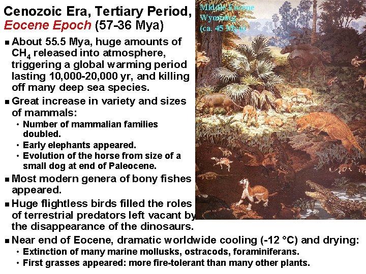 Cenozoic Era, Tertiary Period, Eocene Epoch (57 -36 Mya) Middle Eocene Wyoming (ca. 45
