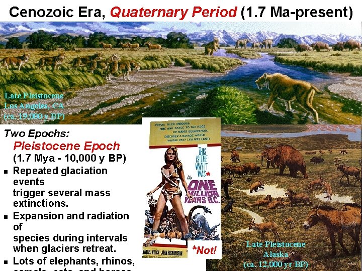 Cenozoic Era, Quaternary Period (1. 7 Ma-present) Late Pleistocene Los Angeles, CA (ca. 19,
