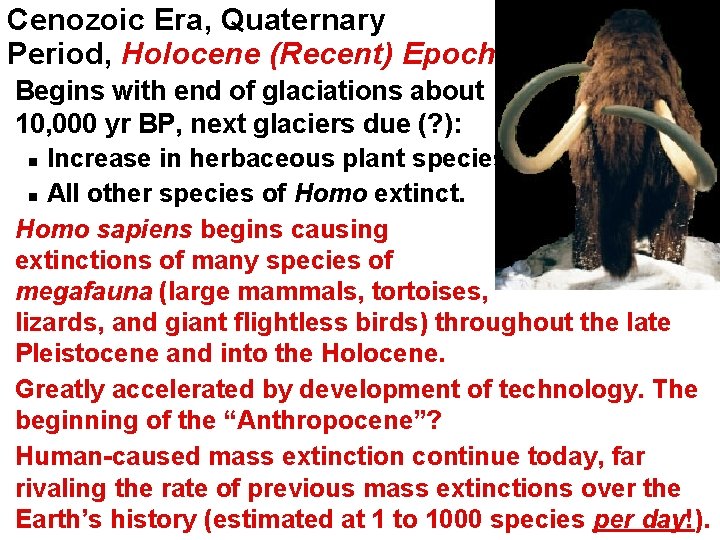 Cenozoic Era, Quaternary Period, Holocene (Recent) Epoch Begins with end of glaciations about 10,