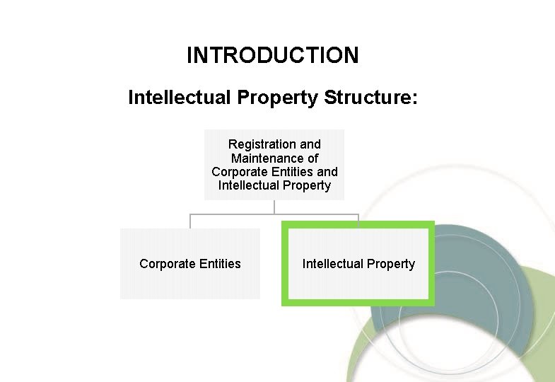 INTRODUCTION Intellectual Property Structure: Registration and Maintenance of Corporate Entities and Intellectual Property Corporate