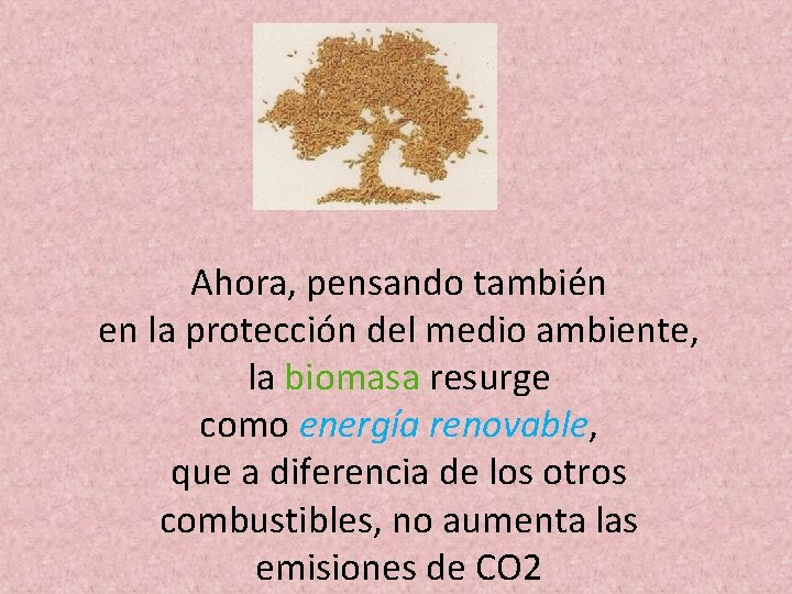 Ahora, pensando también en la protección del medio ambiente, la biomasa resurge como energía