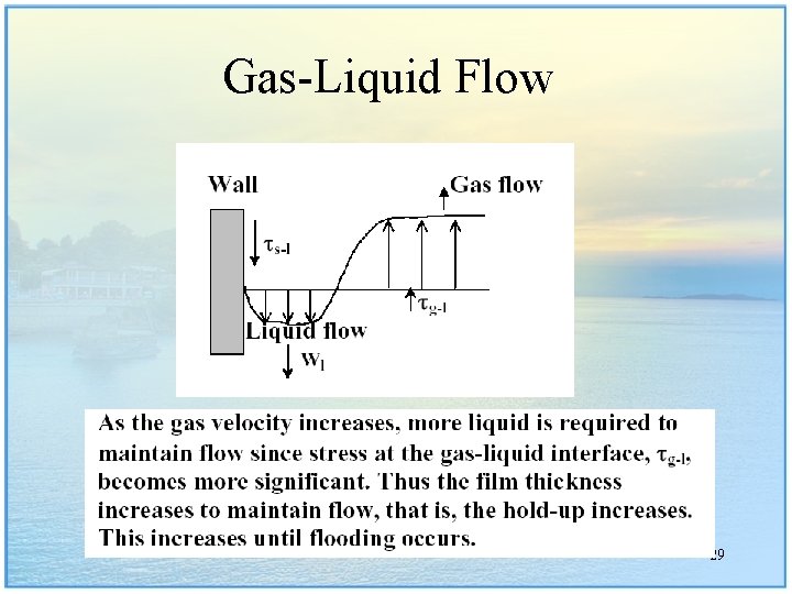 Gas-Liquid Flow 29 