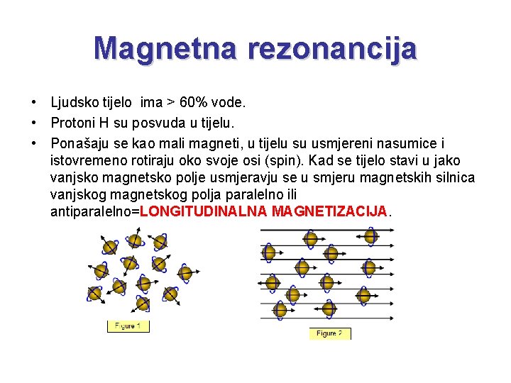 Magnetna rezonancija • Ljudsko tijelo ima > 60% vode. • Protoni H su posvuda
