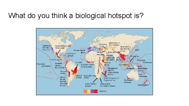 What do you think a biological hotspot is? 