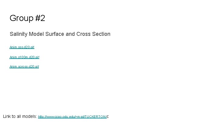 Group #2 Salinity Model Surface and Cross Section Anim. sss. d 20. gif Anim.