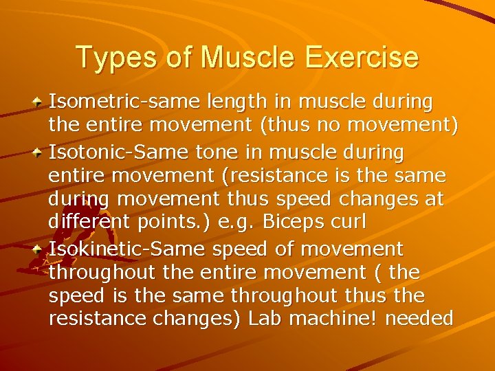 Types of Muscle Exercise Isometric-same length in muscle during the entire movement (thus no