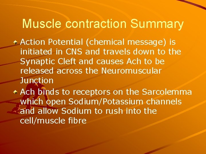 Muscle contraction Summary Action Potential (chemical message) is initiated in CNS and travels down